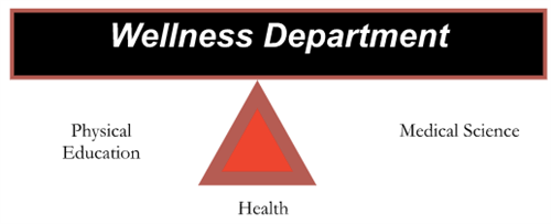 Wellness 